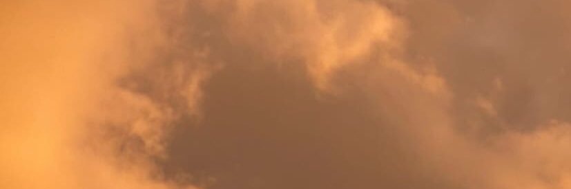 Winnie_Pooh16's profile banner image