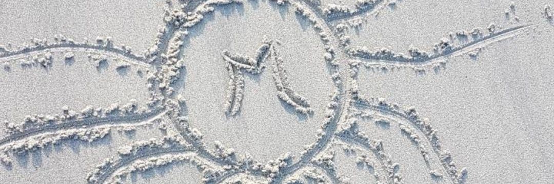 Morganelfvr's profile banner image