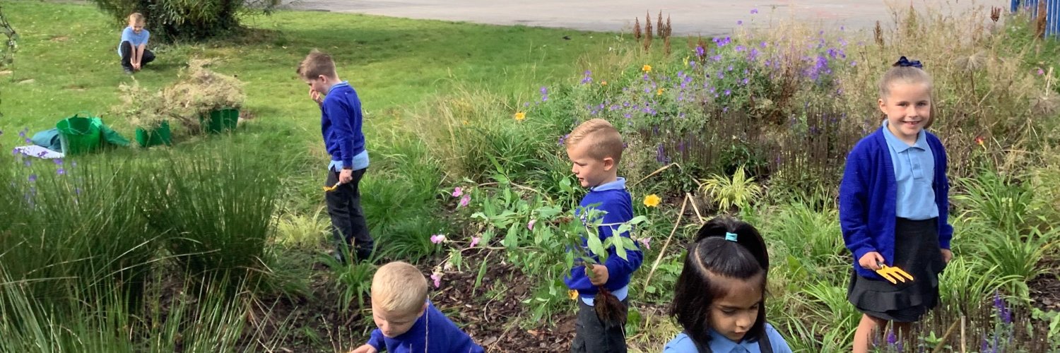 The Sycamore Church of England Trust banner
