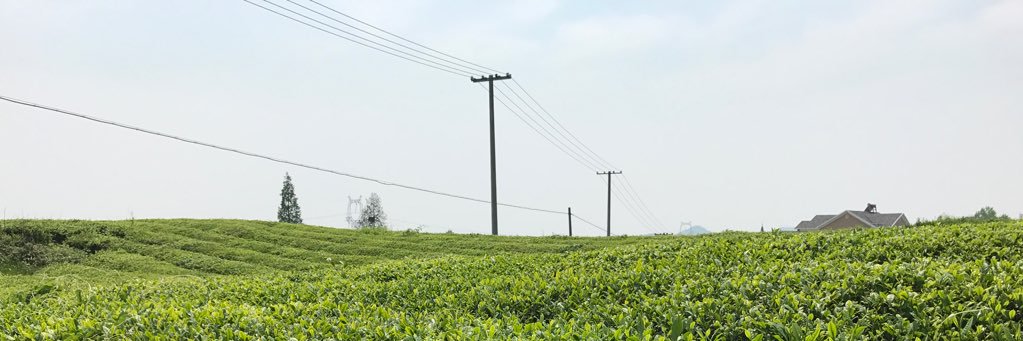 关木's banner