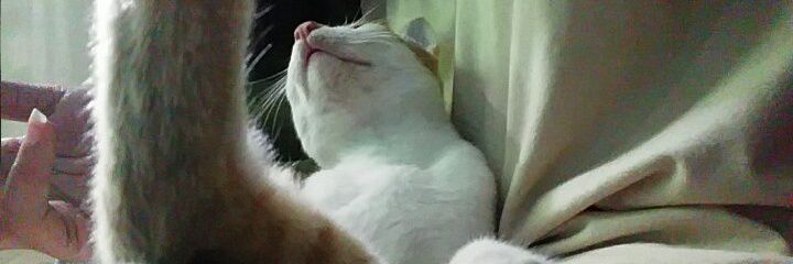 x¹blankji ♡ X1 Still here at ⁶th banner