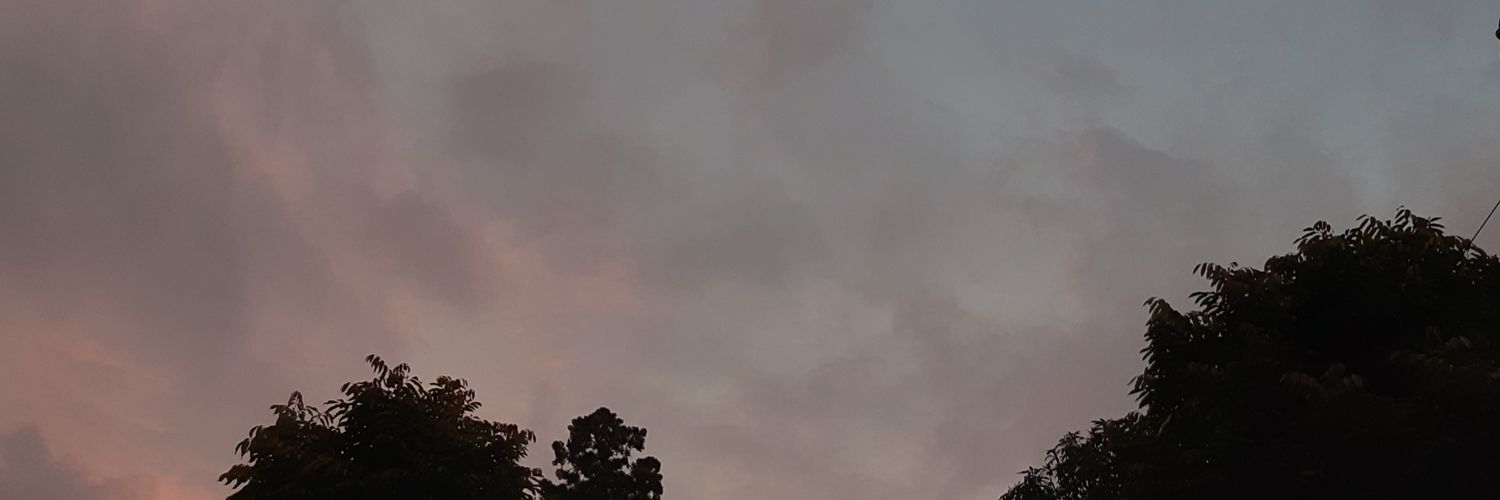 akumatirasaa's profile banner image