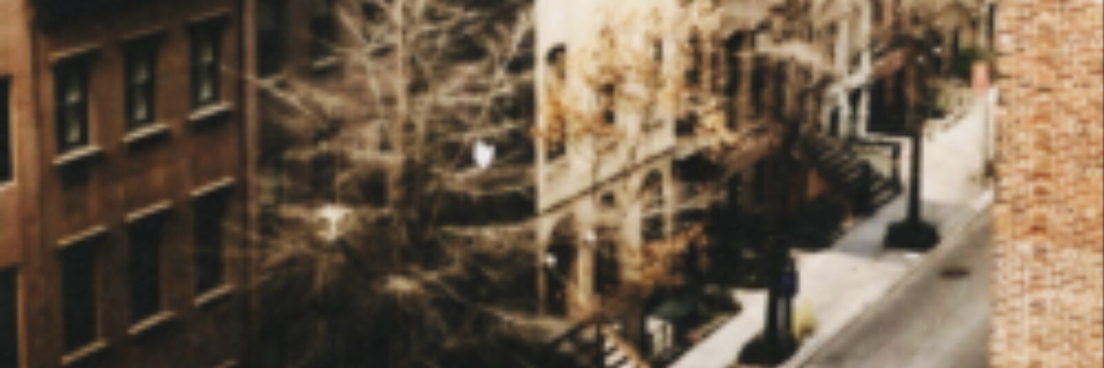 LOLOBBH_'s profile banner image