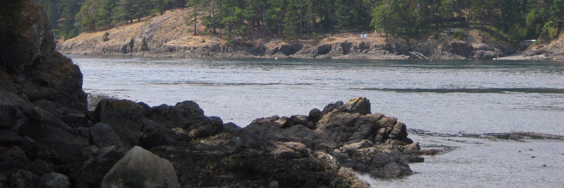 Cara Scheffler banner