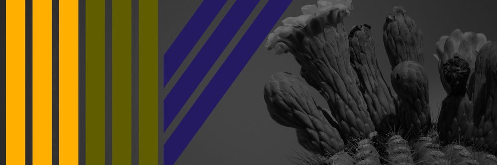 IVCUE banner