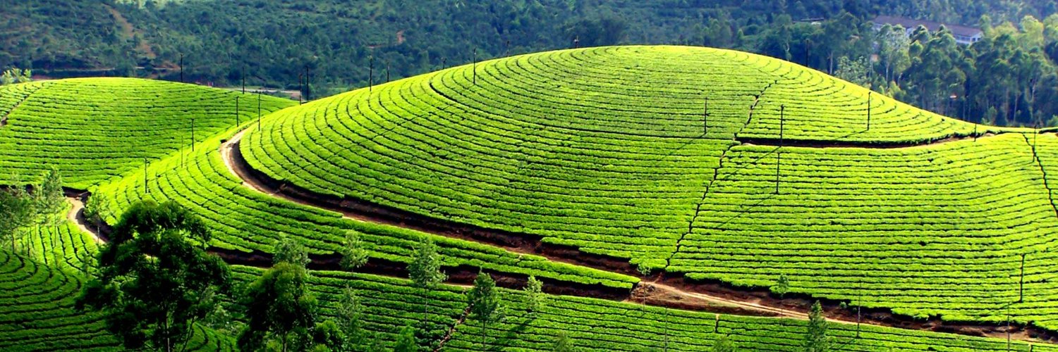 Cornell South Asia Program banner