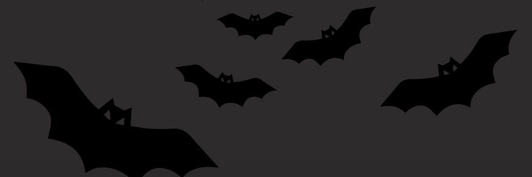 thechellybean's profile banner image