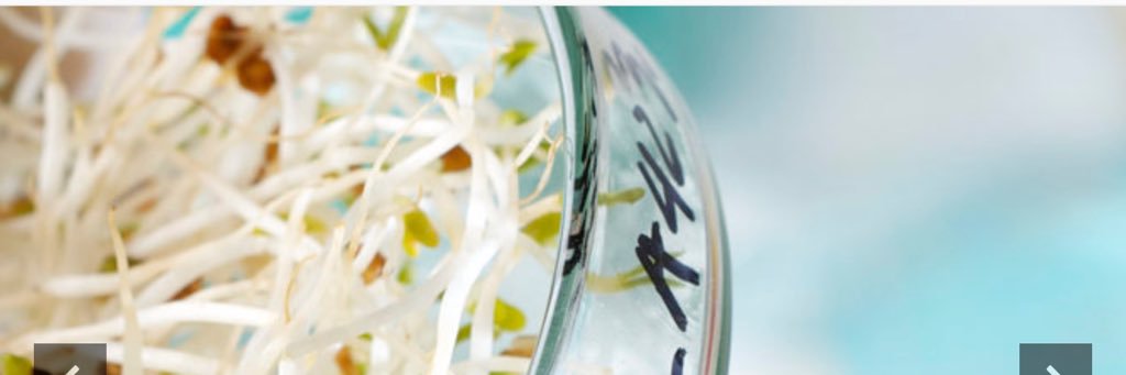 E-Food Blog banner