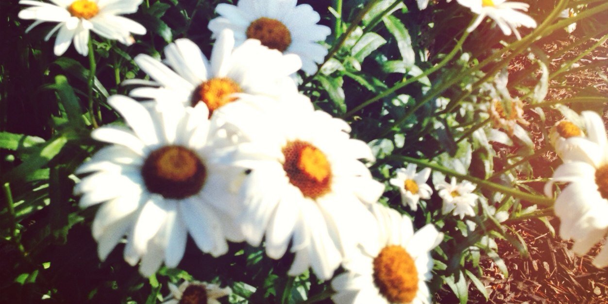 MadLev_'s profile banner image