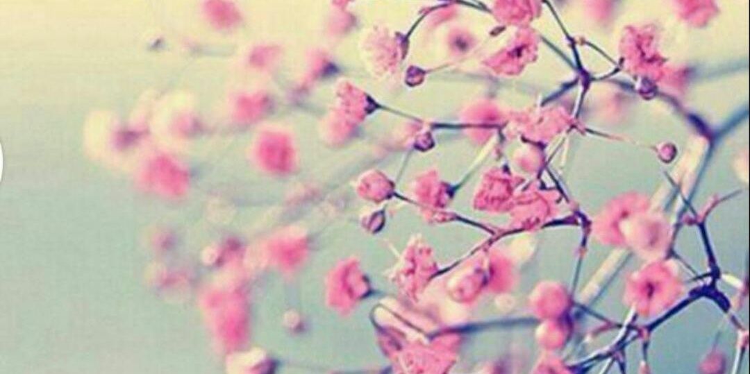 dianNadeloOp's profile banner image