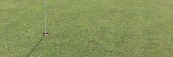 BReynolds404's profile banner image