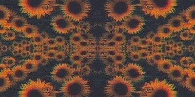 Annawithoutabanana banner