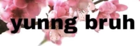 RebsBunny's profile banner image