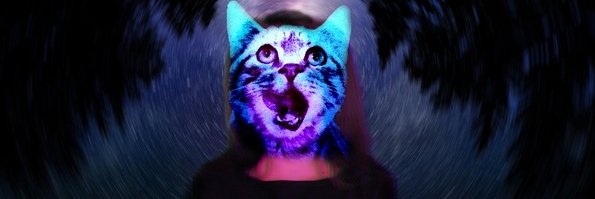 dreNOOOO's profile banner image