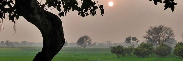 SayyedKamran15 Profile Banner
