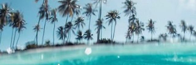 Aceboy661 banner