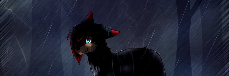 burnt_sonic's profile banner image