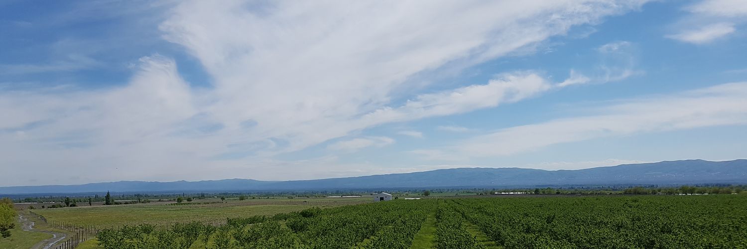 OkujavaShota's profile banner image