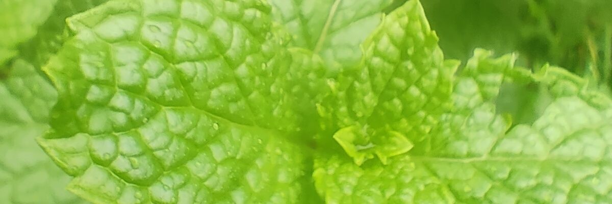 kodrat_KD's profile banner image