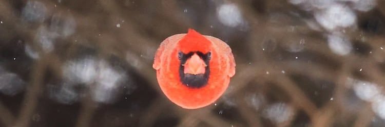 sweetforaseason's profile banner image