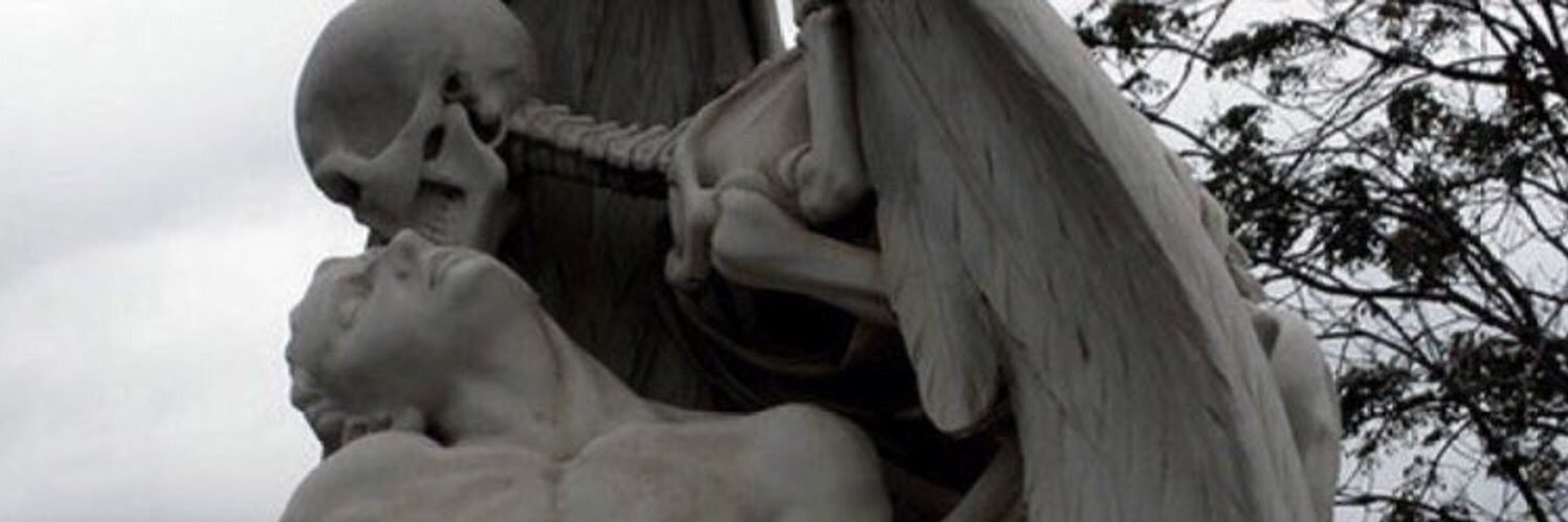 cerenncim's profile banner image