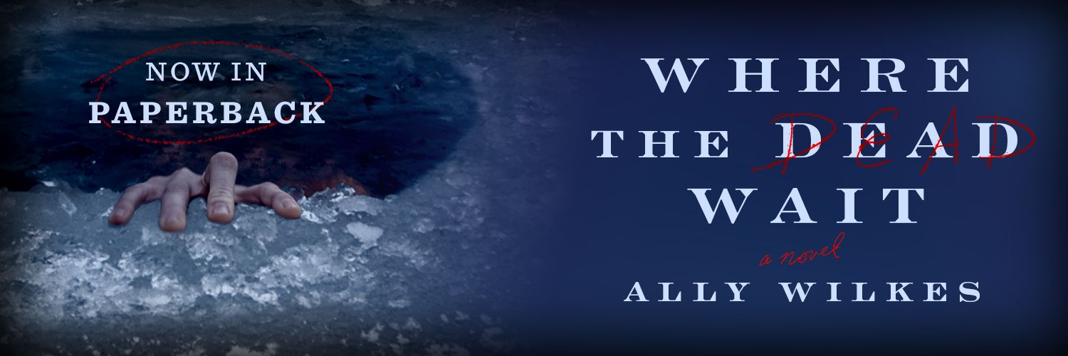 Ally Wilkes / AV Wilkes banner
