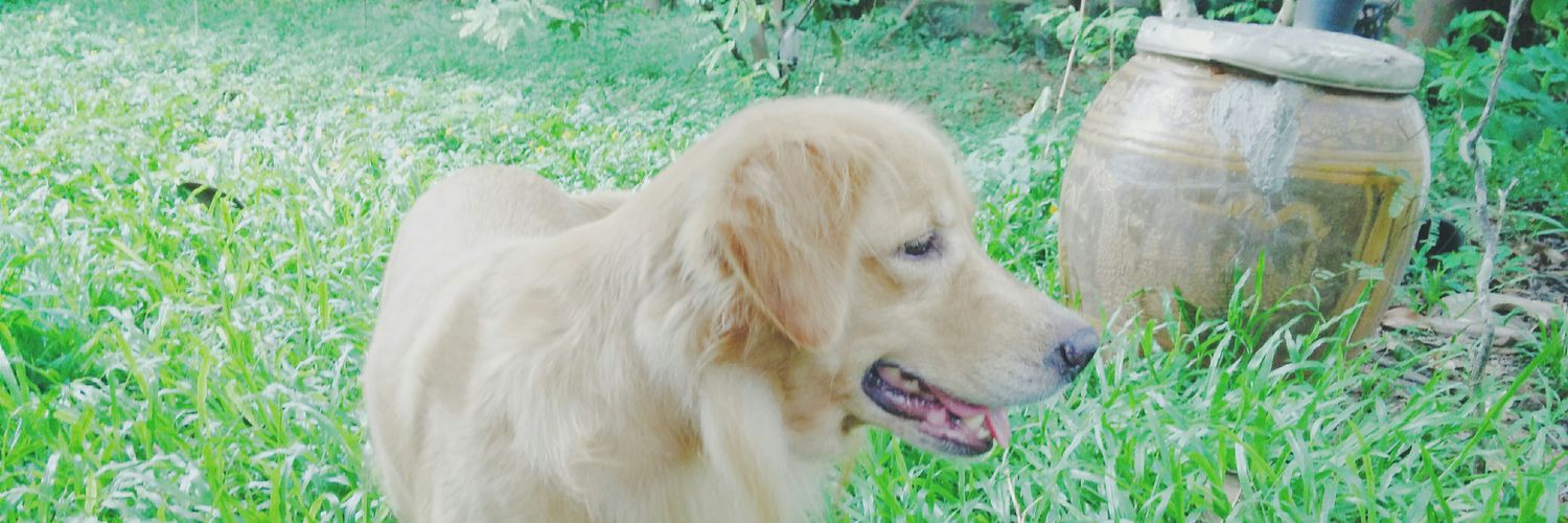 TuMutO's profile banner image