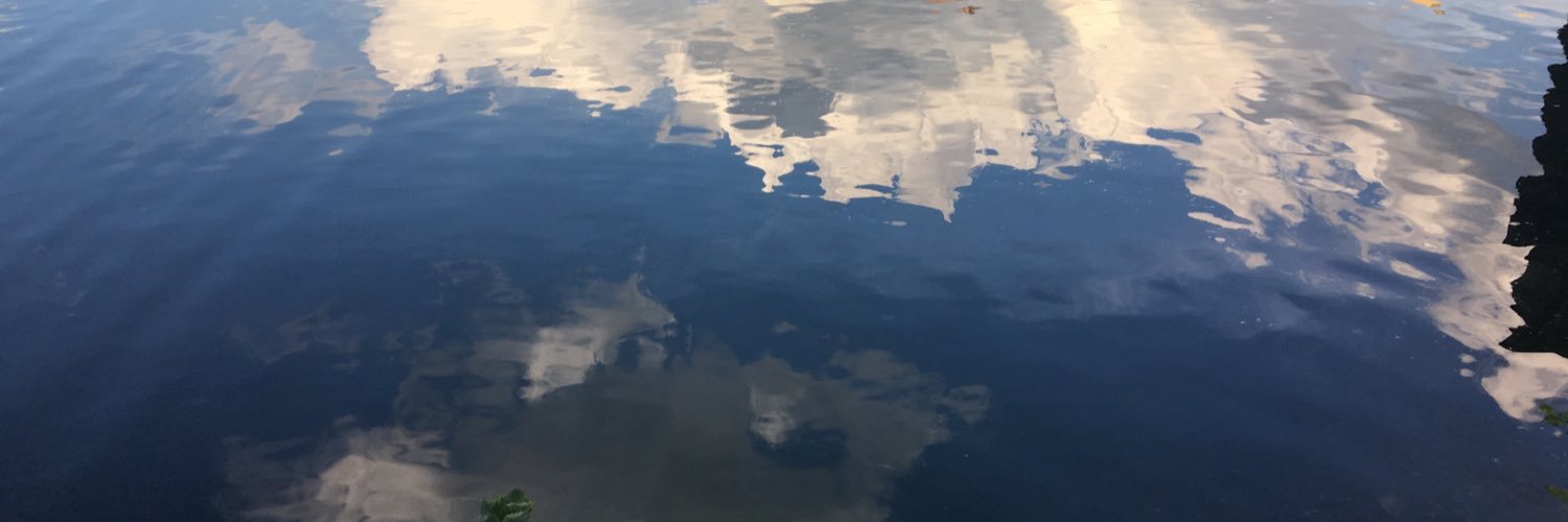 Galia Bogolasky 🌳 banner