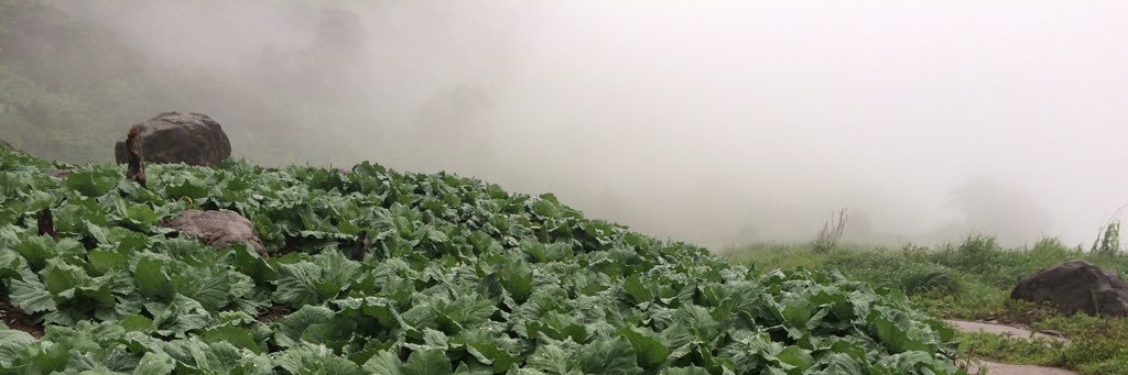 jajachitkamon's profile banner image