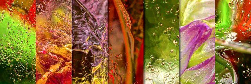 VitavieGallery's profile banner image