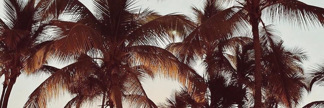 PMVzla's profile banner image