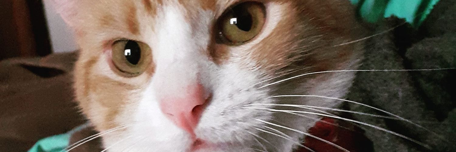 naydudg's profile banner image