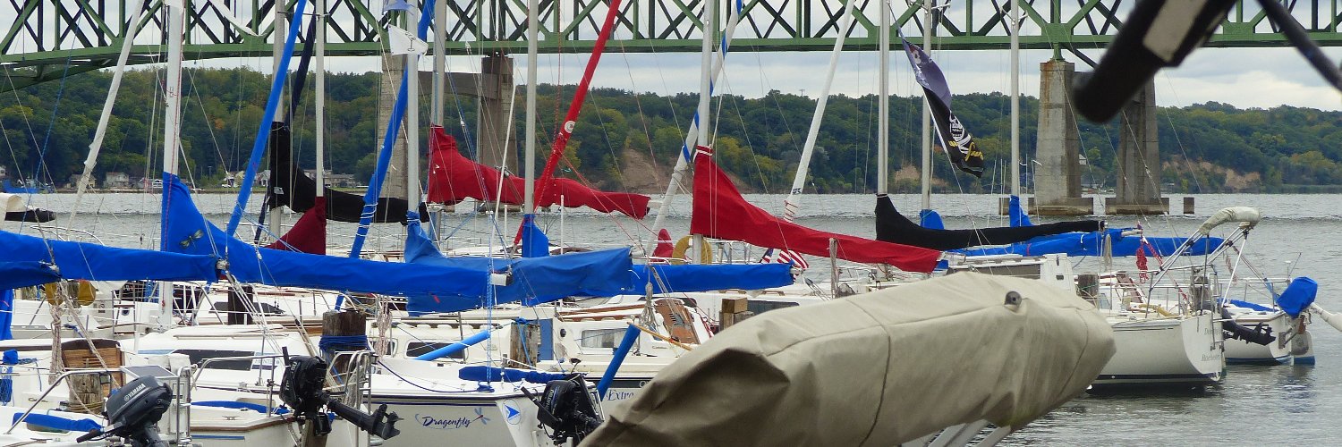 Maggie Steiss banner