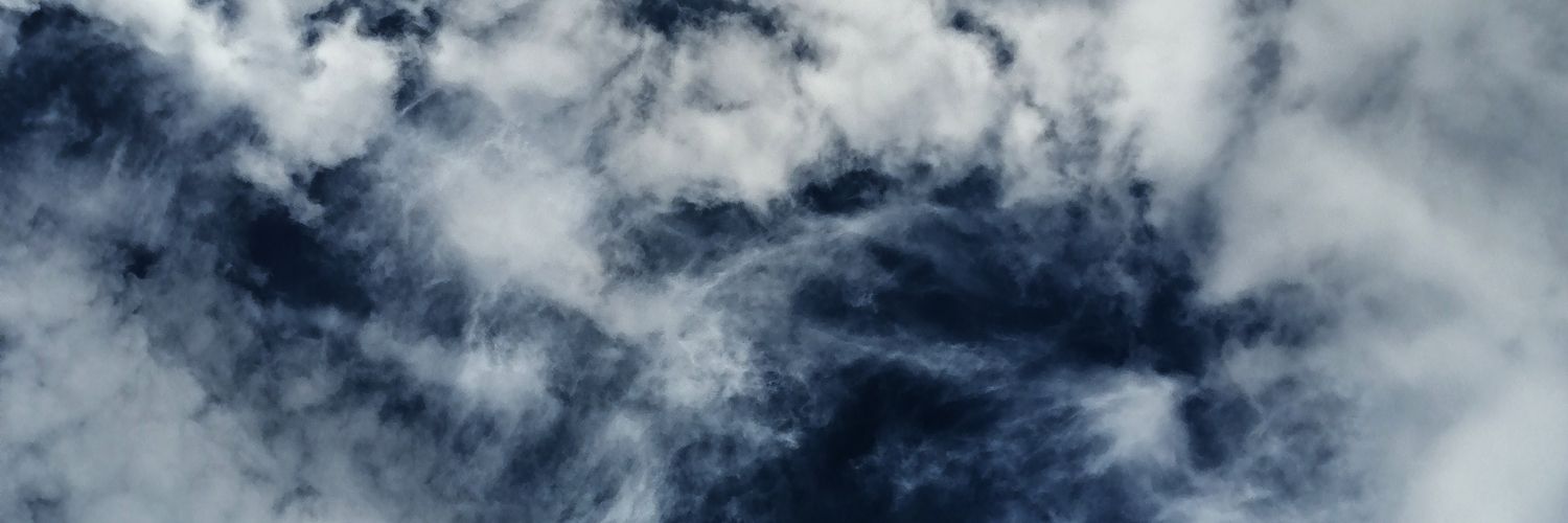 alyona_mal's profile banner image