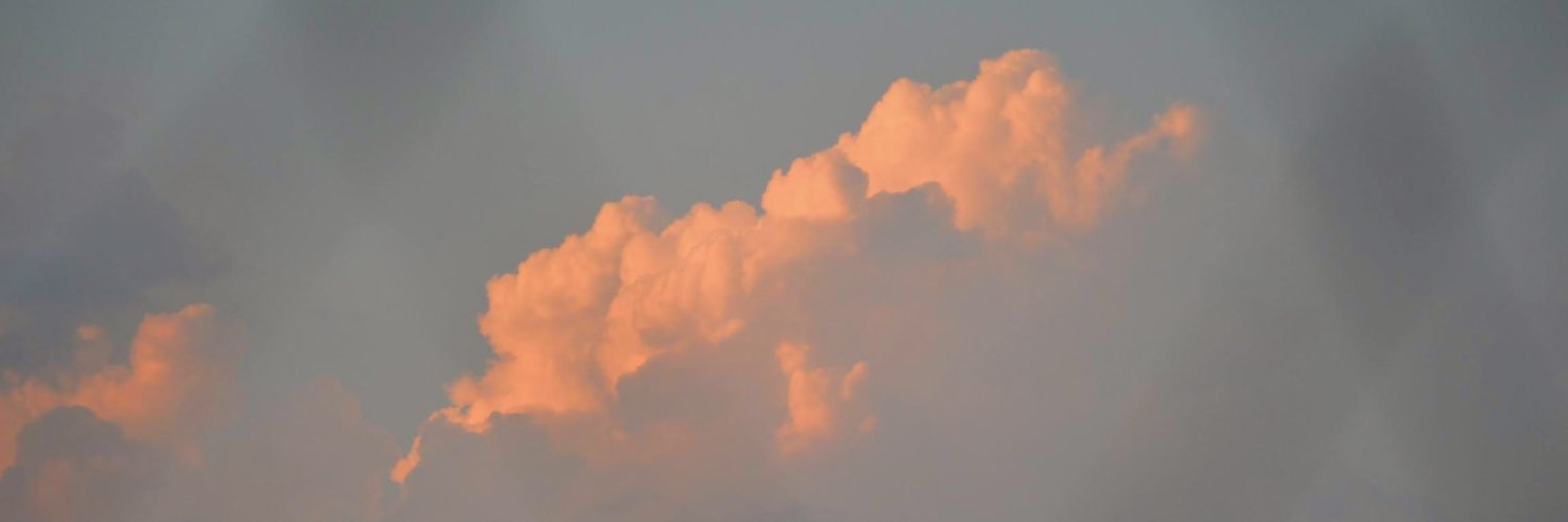 sofmintz's profile banner image