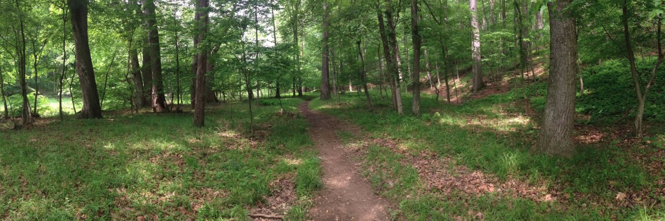 Professor Dogsworth banner