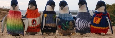 Marie Bowers 👩🏻‍🔬👩🏻‍🏫🤔 banner