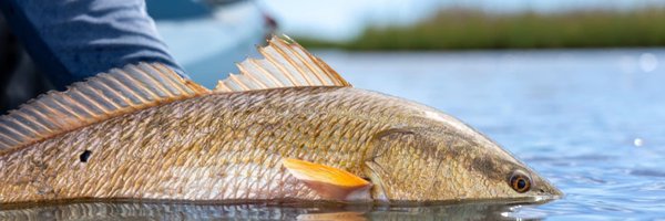 kendall_holman Profile Banner