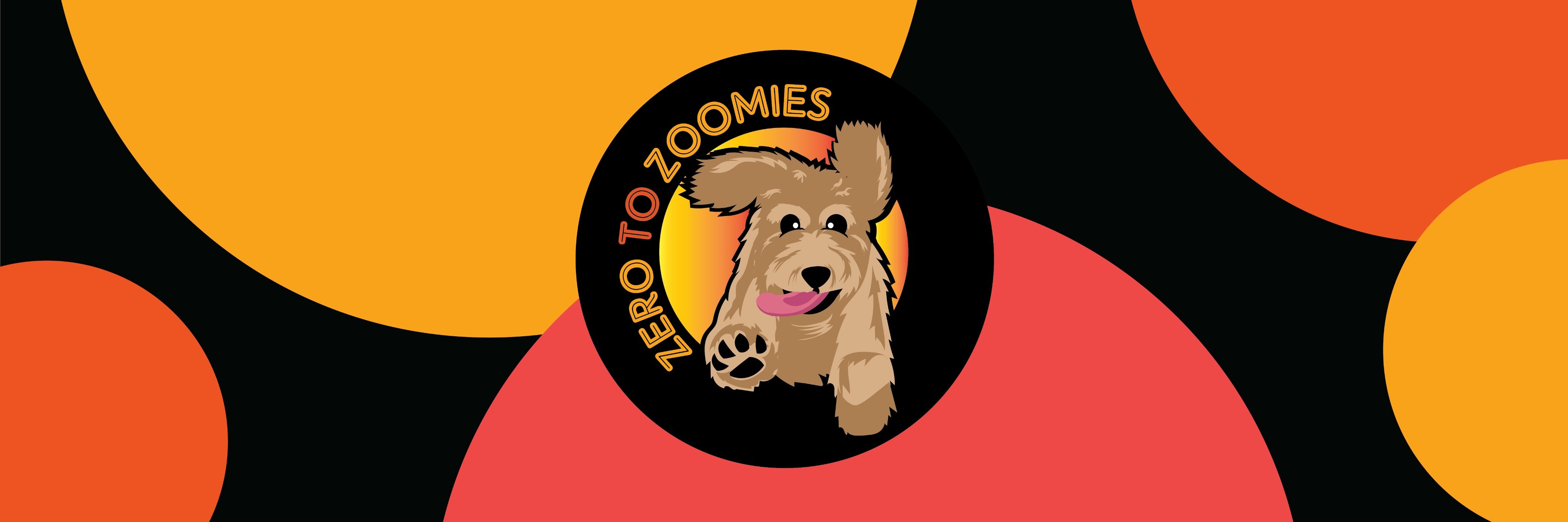 Zero to Zoomies (@zerotozoomies) / Posts / X