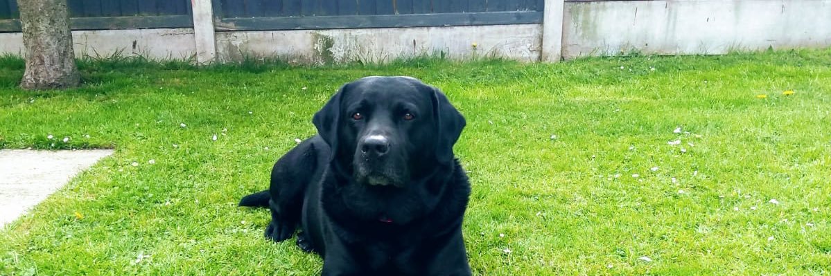 mbally91's profile banner image