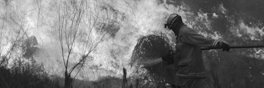 BastadeEcocidio's profile banner image