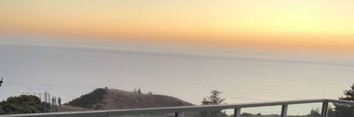 Lady_brown101's profile banner image