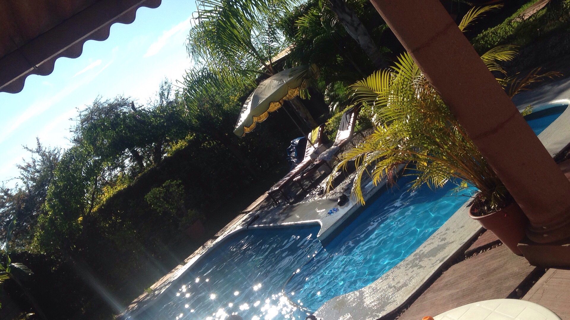 Mariana Valdez banner