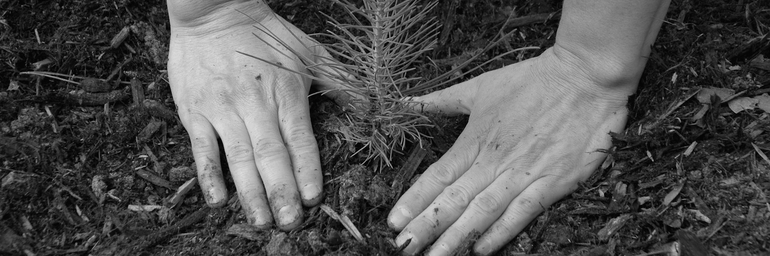 GreenhouseFellowship banner