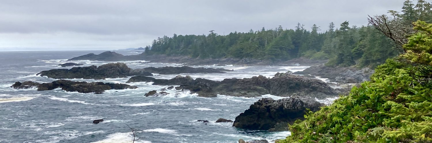 Michelle Wood banner