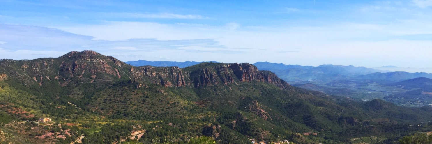 David Sánchez Haro banner