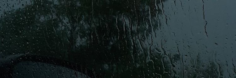 Salmanilayda's profile banner image