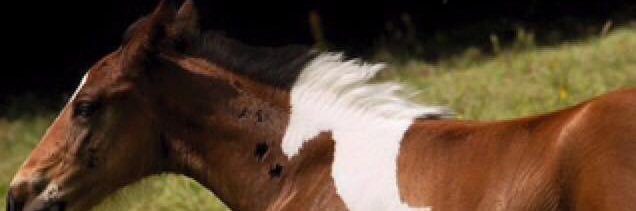 budaboybrya's profile banner image