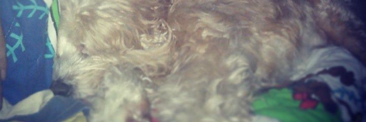 aantonios9's profile banner image