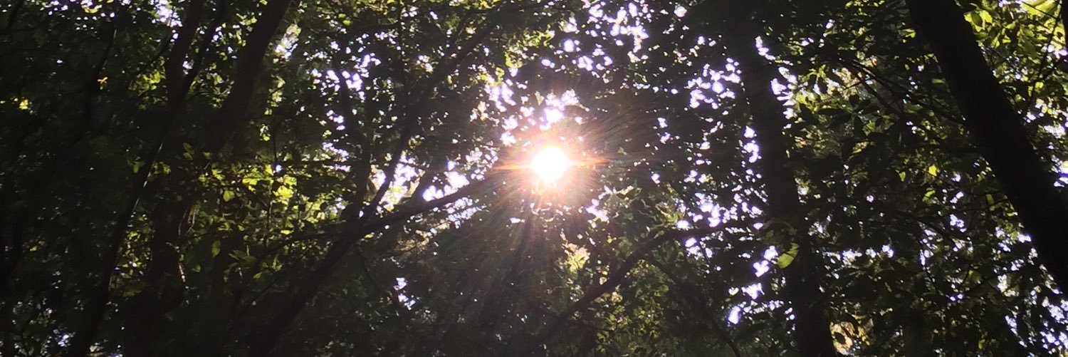 myule's profile banner image
